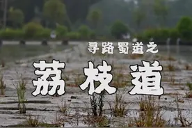 只为贵妃一笑！两千余里古蜀道，鲜荔枝三至五日可送达长安｜寻路蜀道图片