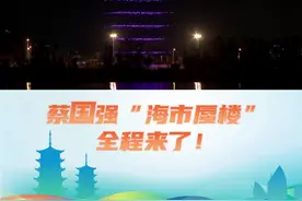 蔡国强艺术烟花无人机表演举行 AI赋能烟花秀 故乡尽开刺桐花图片