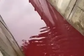 网传洛阳中洲渠水流呈血红色，区生态环境局回应：视频存疑已报警视频封面