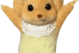 风靡群聊的扭腰小熊、老实狗……到底从哪来的？图片