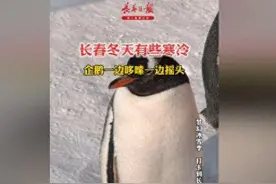 3招帮你防冻疮图片