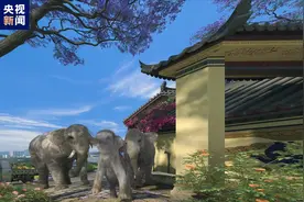 象往的生活 60秒3D全息投影带你看“短鼻家族”趣萌瞬间图片