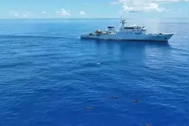 央媒看海南 | 新华社：在海南岛东部海域发现鲸豚成群图片