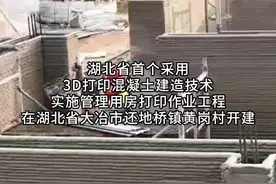 湖北首栋采用3D打印技术新农房项目开建图片
