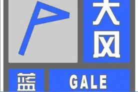 阵风7级左右！北京发布大风蓝色预警图片
