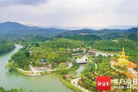 万宁：一杯咖啡飘出“产业醇香”图片