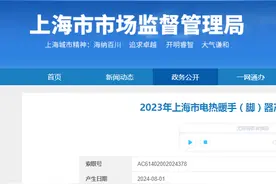 2023年上海市电热暖手（脚）器产品质量监督抽查结果图片