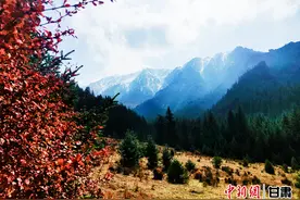 中央媒体看甘肃｜祁连山秋景如画图片
