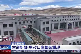 增速居全国首位！来看西藏外贸的古道“新”颜和源头好水图片