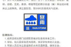大到暴雨+阵风8到10级！南京发布蓝色预警信号图片