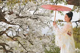 高原“花经济”结出“致富果”图片