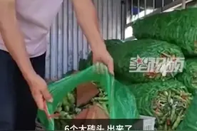 网友曝光“收蚕豆遭掺砖块”，官方通报图片