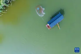 山东滕州：煤矿塌陷地华丽“变身”图片