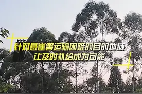 无人机空投+单兵外骨骼 密林深处如何补给油料？图片