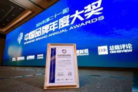 雷士照明获2024年“中国品牌年度大奖”图片