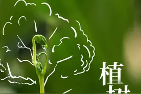 植树节海报丨一抹绿色，满载春天~图片
