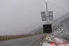 青海海东：雪凇压枝头 冬日开霜花图片