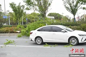 安徽多地遭遇大风天气图片