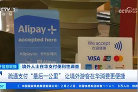 冬晓：Visa难以进入中国市场，是因为中国的“科技民族主义”吗？图片