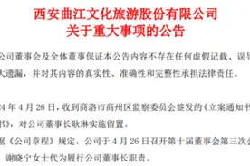 曲江文旅董事长耿琳被立案并留置 谢晓宁代为履职图片