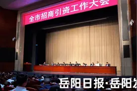 悦闻 | 招商引资工作置顶！岳阳从上到下“热”起来图片