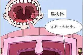 扁桃体为何爱发炎图片