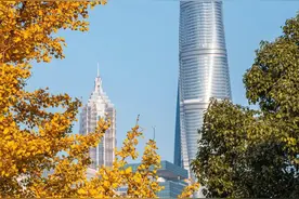 能拍银杏和四件套同框的绝美露台！就在上海市中心这个小众公园→图片