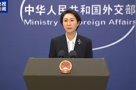 外交部：中方便利人员往来举措使来华签证手续更加高效便捷图片