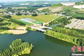 山东逐“绿”前行探索生态惠民之路 绘就生态美卷图片