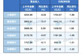 六大国有银行上半年共赚近七千亿  中期将进行超千亿分红图片
