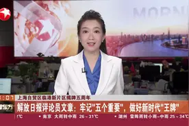 上海自贸区临港新片区揭牌五周年 解放日报评论员文章：牢记“五个重要”，做好新时代“王牌”视频封面