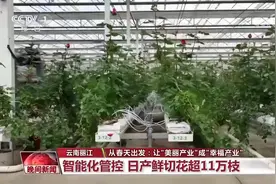 从春天出发：让“美丽产业”成“幸福产业”图片