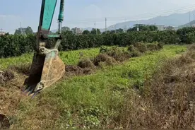 平和文峰：按下退果还耕“快进键”图片