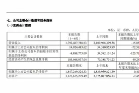 来伊份业绩遇冷，坚守“不打价格战”能否靠“健康零食”逆袭？图片