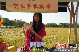 宁夏贺兰举办“中国农民丰收节” 活动 共庆共享丰收喜悦图片
