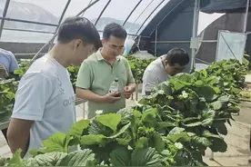 扎根基层 绽放奋斗之花——记西宁市湟中区委组织部副部长马瑞图片