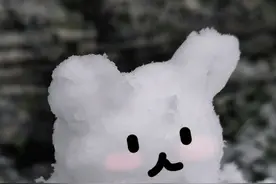 刷爆朋友圈！大雪如约而至，湖南迎来最强降雪时段！图片