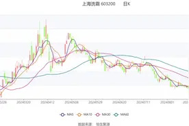 上海洗霸：2024年上半年净利润4186.64万元 同比增长86.08%图片