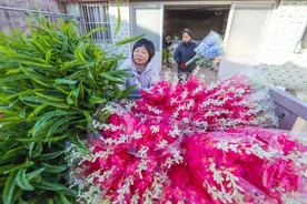 出口仿真花卉铺就增收路#图片