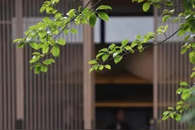 打造诗意生活，中新知识城低密度楼盘推新图片