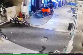 野猪突现！和老板对视后直冲早餐店店门！店老板：幸亏玻璃门结实图片