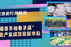 破浪前行风帆劲｜“酒香不怕巷子深” 特色产业绽放崭新华彩图片