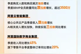 阿里巴巴集团2024财年收入9411.68亿元图片