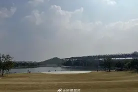 上海的阿勒泰草坪一夜之间全黄了？世博文化公园：正播种冷季型草种图片