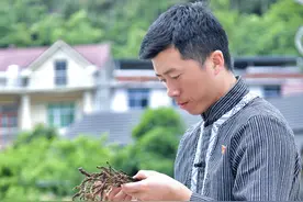 那一刻 你闪着光⑭ | “青山村长”黄杰：直播带货 为村民打通“云端”致富路图片