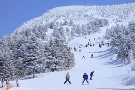 日本入境游恢复至疫情前八成，滑雪季下如何玩转冰雪生意经？图片
