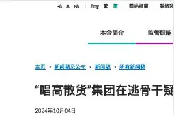 被控证券诈欺罪！“唱高散货”集团骨干疑犯在新加坡落网后移交香港图片
