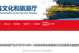 列入“黑榜”！云南这12家旅行社被重点监管图片
