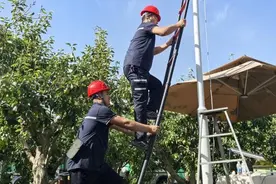 真甜！“5G+”助库尔勒香梨大丰收图片