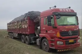 货车司机接单运菜，车辆却被菜主拦住滞留多天，损失谁来担？图片